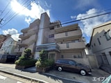 サンセベリア高宮