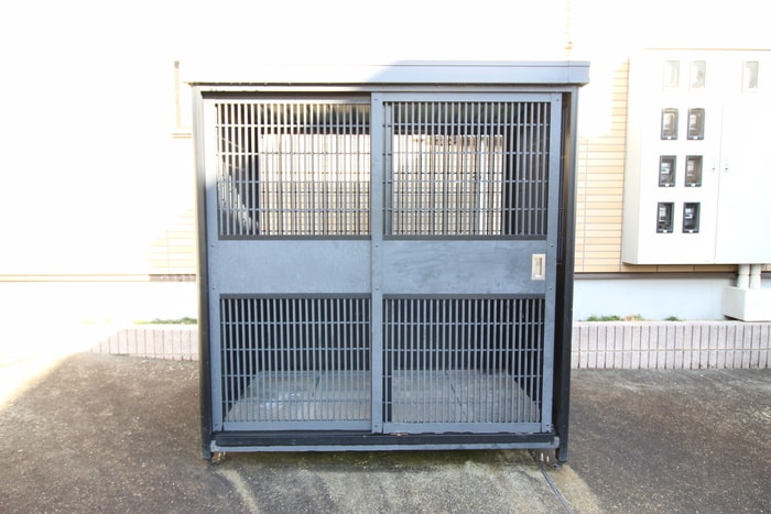 その他 セイバリ－ＵＡ