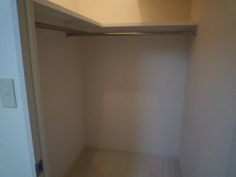 収納 フェルト１１１３