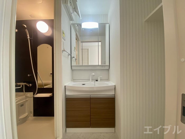 洗面 ｺﾝﾀﾞｸﾄﾚｼﾞﾃﾞﾝｽHANAMINOSATO