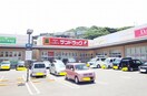 サンドラッグマルショク深町店(ドラッグストア)まで1700m ウィンディア大谷