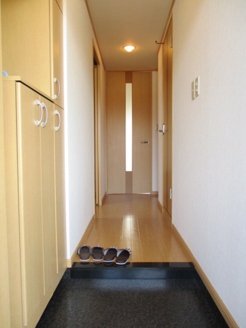 玄関 ライトニングエクセレンス