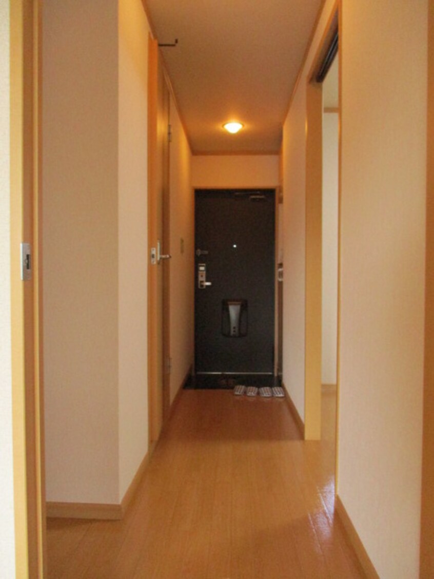 廊下 ライトニングエクセレンス