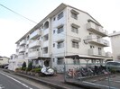 ディナスティの外観