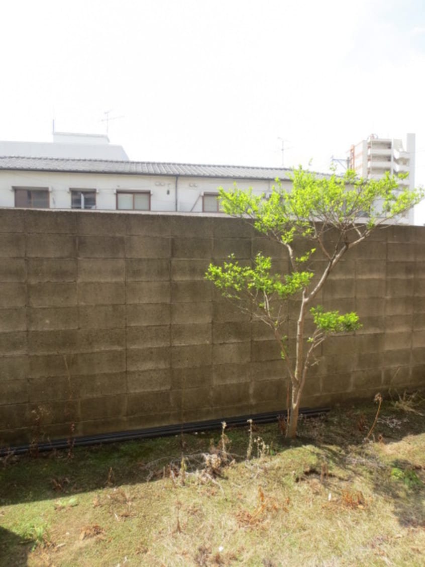 室内からの展望 マンションキャッスル