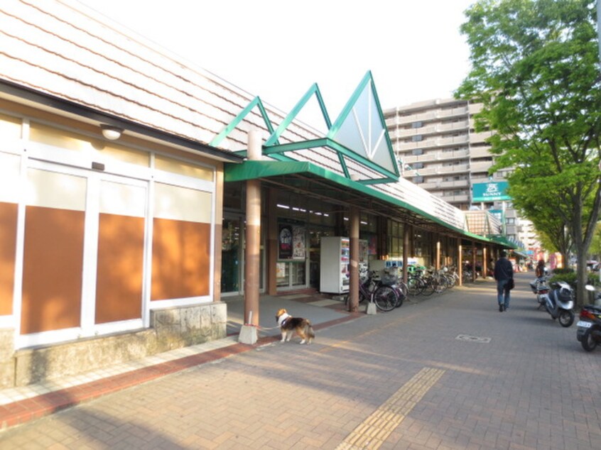 サニー　長住店(スーパー)まで362m 第５アヴェニュー