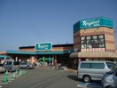 レガネット長住(スーパー)まで409m 第５アヴェニュー