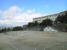 長丘中学校(中学校/中等教育学校)まで1390m 第５アヴェニュー