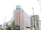 サニー(スーパー)まで300m エンクレスト薬院Ⅱ（1105）
