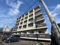 完成写真