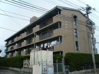 ピースフル板付