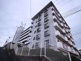 フジエホワイトローザ熊谷(101)