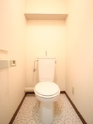 トイレ ベルガ菅原