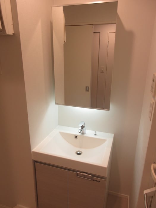 洗面 ｴﾝｸﾚｽﾄﾍﾞｲｻｲﾄﾞ通り（308）