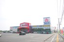 ヤマダ電機(電気量販店/ホームセンター)まで3700m ル　タン　ヒロ