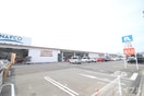ナフコ(電気量販店/ホームセンター)まで4000m ル　タン　ヒロ