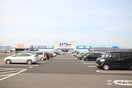 パワーコメリ(電気量販店/ホームセンター)まで4300m ル　タン　ヒロ