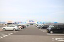 パワーコメリ(電気量販店/ホームセンター)まで4300m ル　タン　ヒロ
