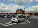 ドン・キホーテコスタ行橋店(ディスカウントショップ)まで1800m ヴィラ・弥生桜 Ｄ棟