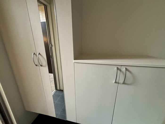 靴箱 D-roomアネシス