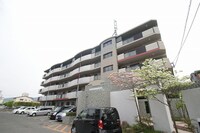 ｼｭﾍﾟﾘｭ-ﾙ２５