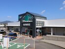 サニー森林都市店(スーパー)まで1100m エスポワ－ル高原Ｂ