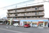 セイラス２１
