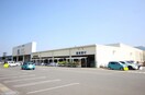 ナフコ若松店(電気量販店/ホームセンター)まで550m 花みずき