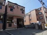 プライムローズ
