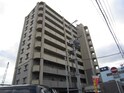 完成写真