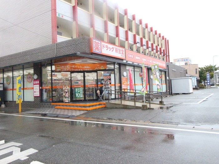 新生堂(ドラッグストア)まで550m シャーメゾンウィステリア