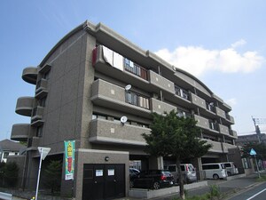 エバーハイツ