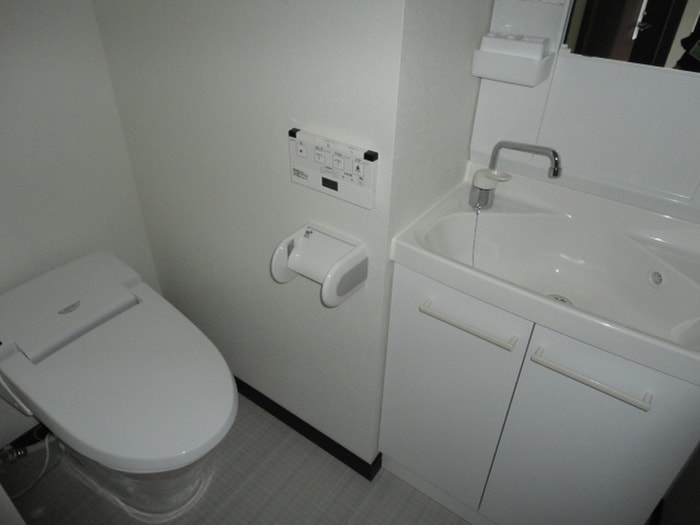 トイレ ｻｳﾞｫｲ ｻﾞ･ﾊﾟ-ﾑｽﾄﾘ-ﾄ(601)