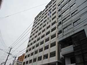 アレクサスイル・ビアンコ(901)