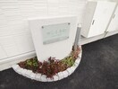 その他 サンレトロ