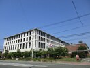 産業医科大学若松病院(病院)まで2600m 中畑町貸家