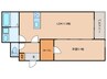 仮）日の出町4丁目AP 1LDKの間取り