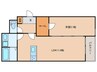 仮）日の出町4丁目AP 1LDKの間取り