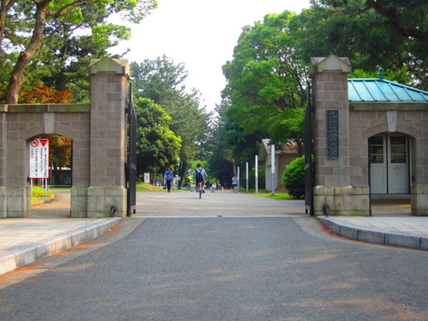 九州工業大学(大学/短大/専門学校)まで230m 飛幡ブレイン