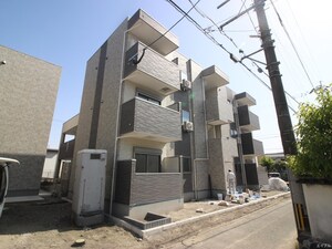 博多小町Ⅲ
