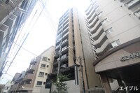 LANDIC　N110（501）