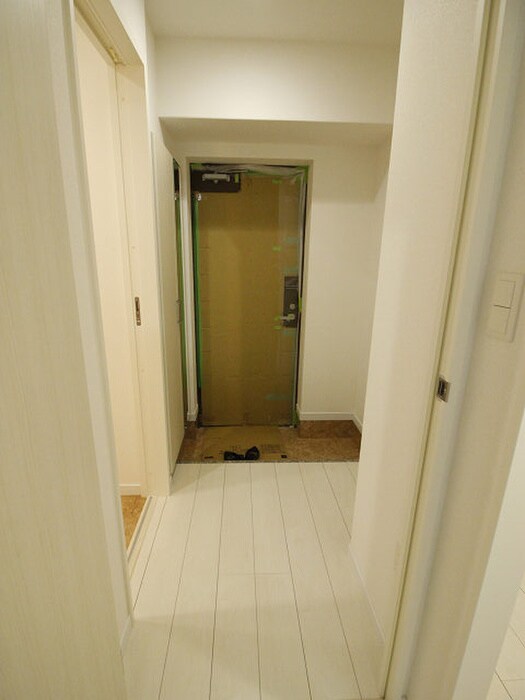 廊下 ラファエロ