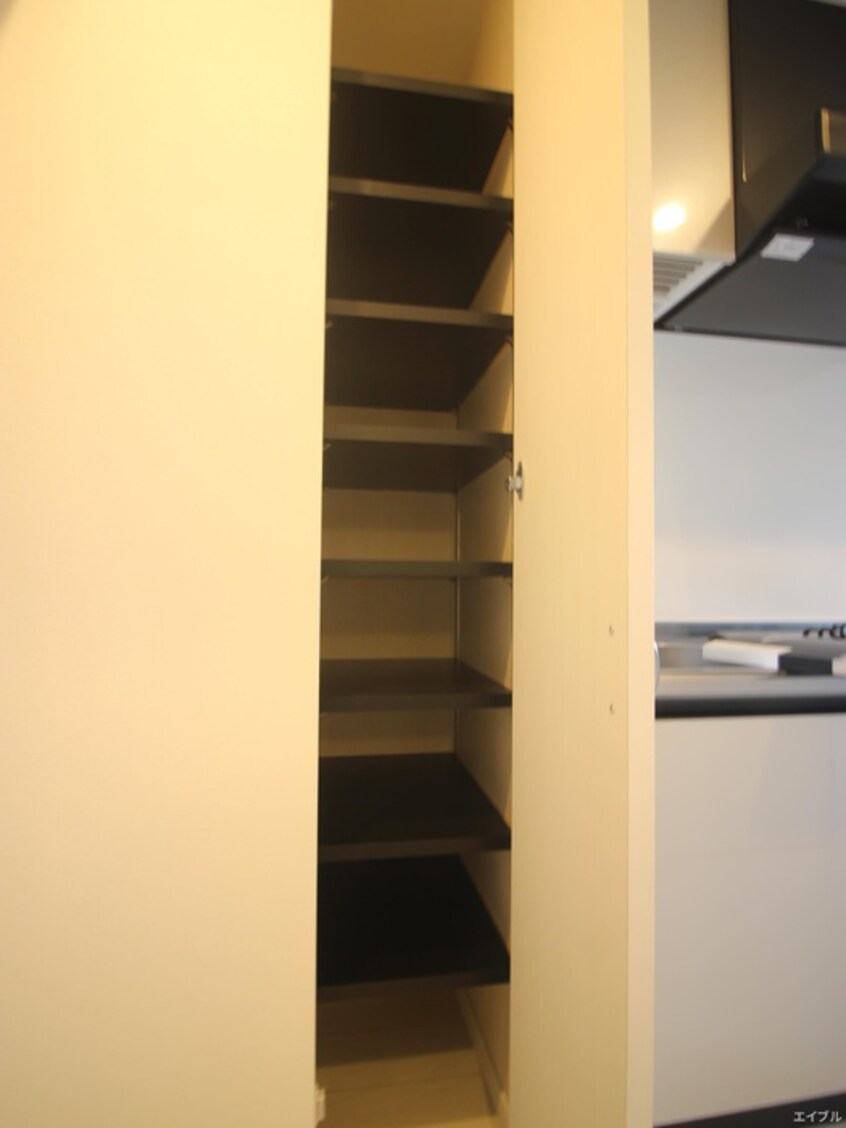 靴箱 ｻｳﾞｫｲﾚﾄﾜｰﾙｾﾚｽﾃ（403）