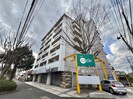 アベニュー守恒の外観
