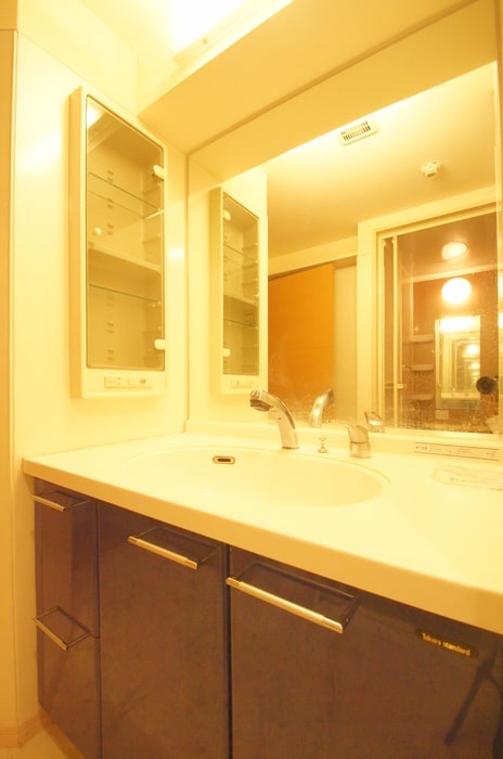 洗面 オータム レーベン