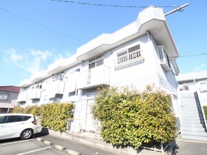 レピュートおんつかⅡ