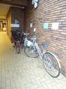 駐輪場 サンマリノビル