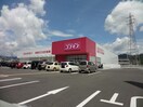 ディスカウントドラッグコスモス西宮市店(ドラッグストア)まで219m グランドソレ－ユＥ