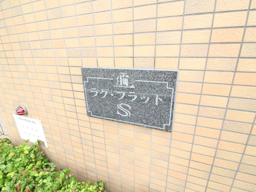 その他 ラグ・フラットＳ