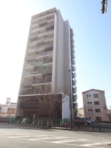 ｻｳﾞｫｲﾗﾙｶﾝｼﾞｭ（705）